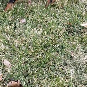 Meet your Posher, Ted